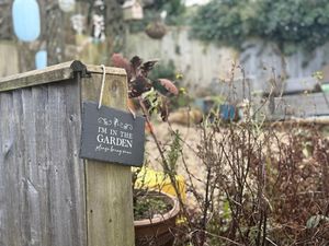 Photo 17- click for photo gallery